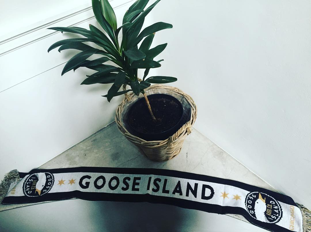 We do not only cheer for ⚽️.. C'mon Goose! @gooseisland