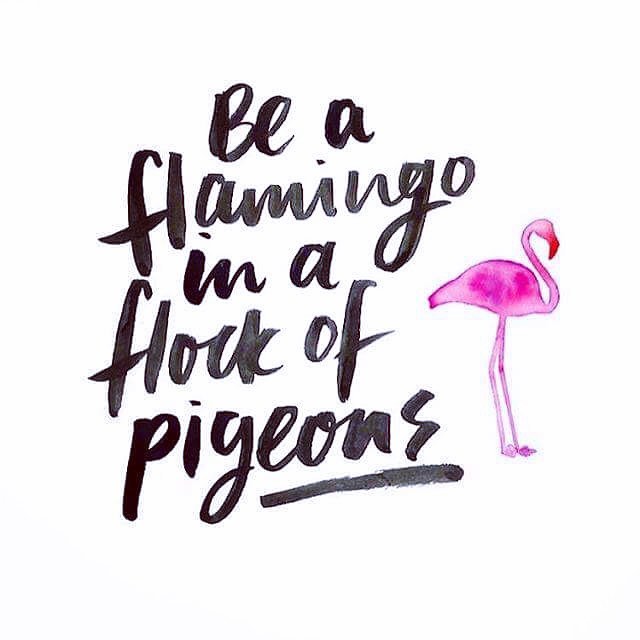 Going out? “Be a flamingo in a flock of pigeon” #standout #beoriginal #staytrue